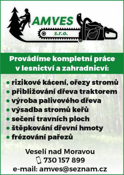 AMVES s.r.o. - rizikové kácení stromů, těžba dřeva