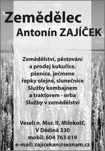Zajíček Antonín - hledám k pronájmu ornou půdu