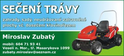 Sečení trávy - Miroslav Zubatý